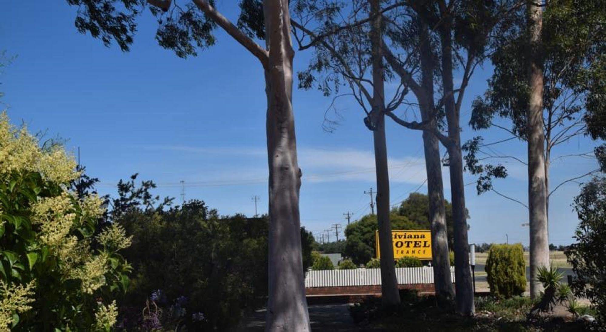 Riviana Motel Deniliquin Exteriér fotografie